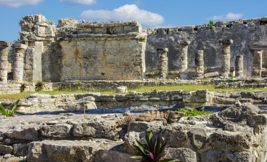 Las ruinas suelen albergar iguanas