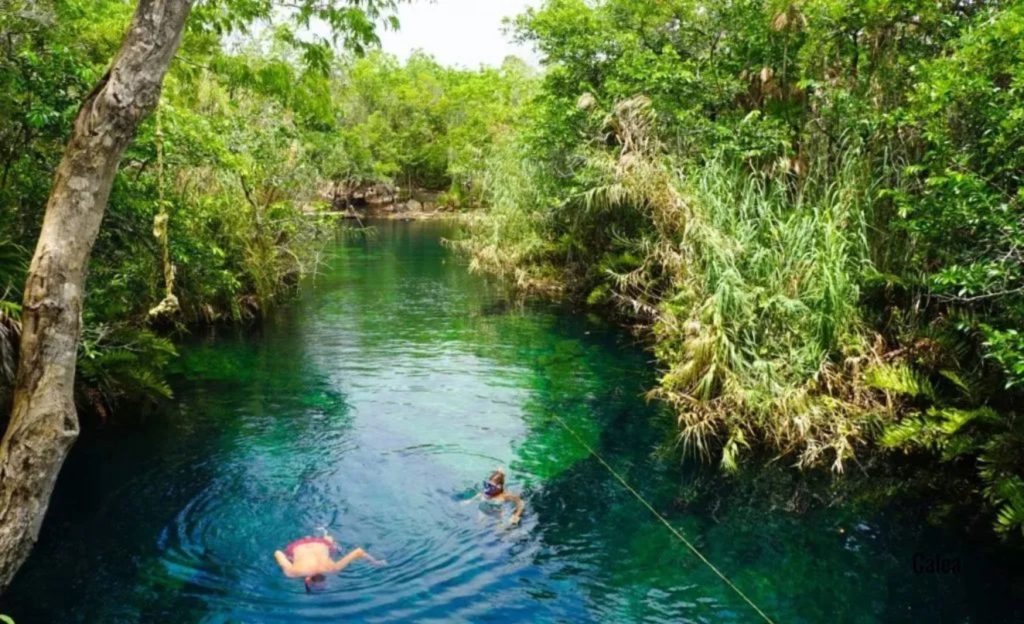 Cenote Cristal and Cenote Escondido, with a man snorkeling.