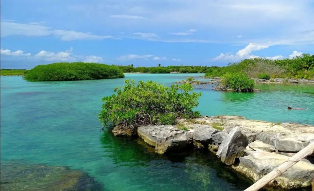 Open-air cenote with a large expanse on a sunny day