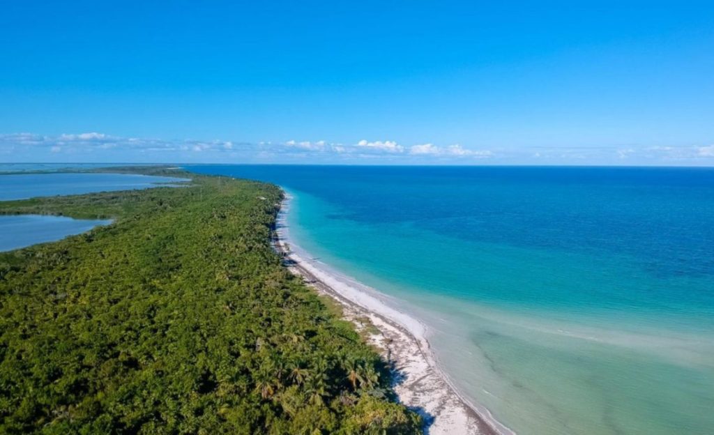 Pristine beach with miles of sea and sand, no people or buildings.