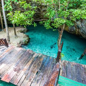 Paradisiacal cenote with crystal-clear water and no people
