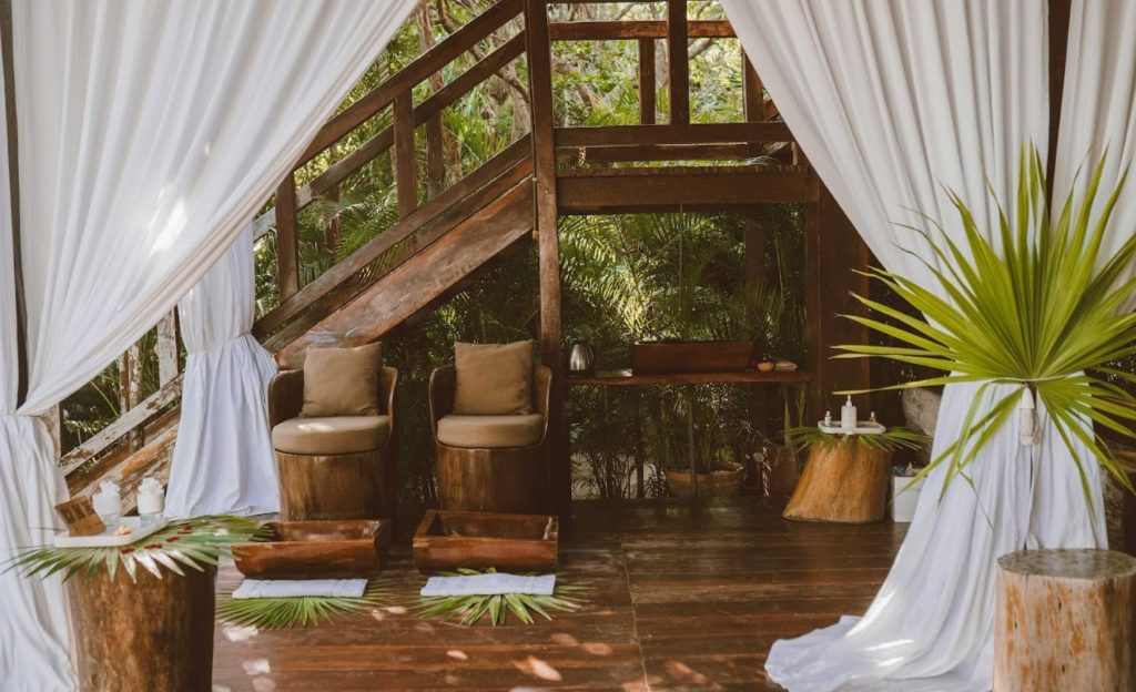 Stylish hotel interior with wooden accents, white curtains, lush plants, and two elegant sofas