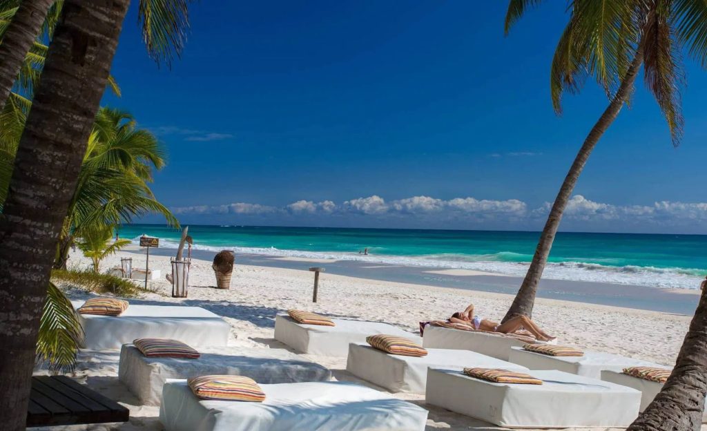 Tranquil beach at Ziggy’s Beach Club in Tulum, featuring elegant and comfortable lounge chairs under swaying palm trees.