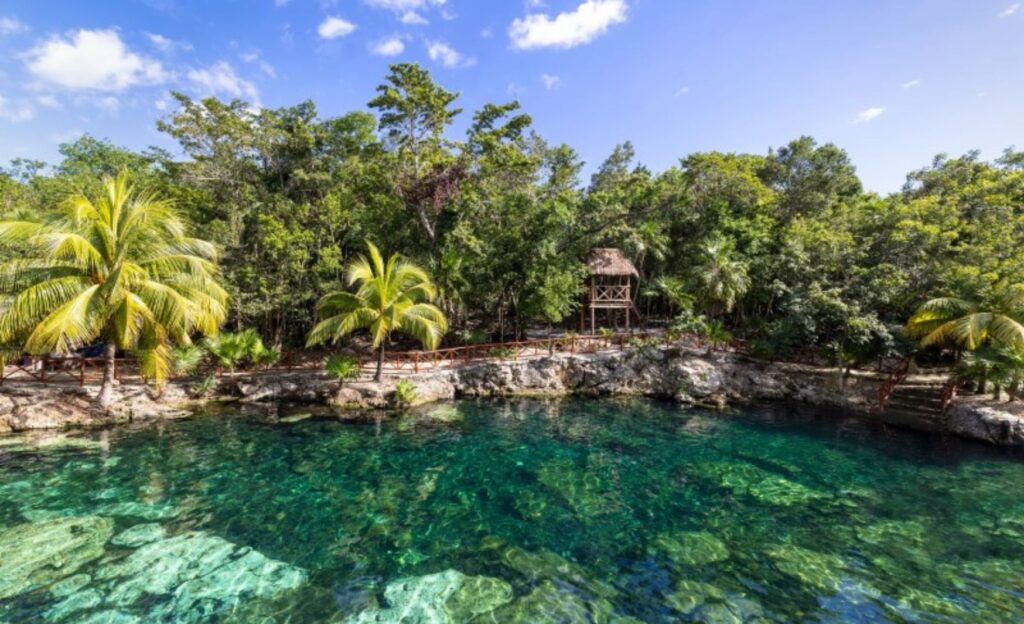 Panorámica del Cenote Azul de Tulum, rodeado de vegetación