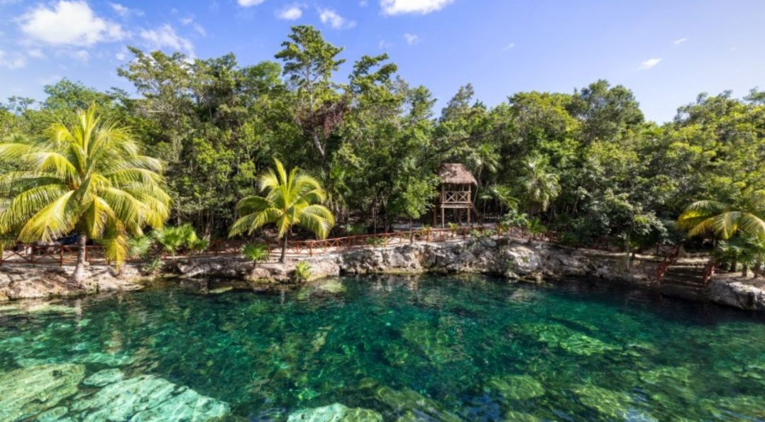 Panorámica del Cenote Azul de Tulum, rodeado de vegetación