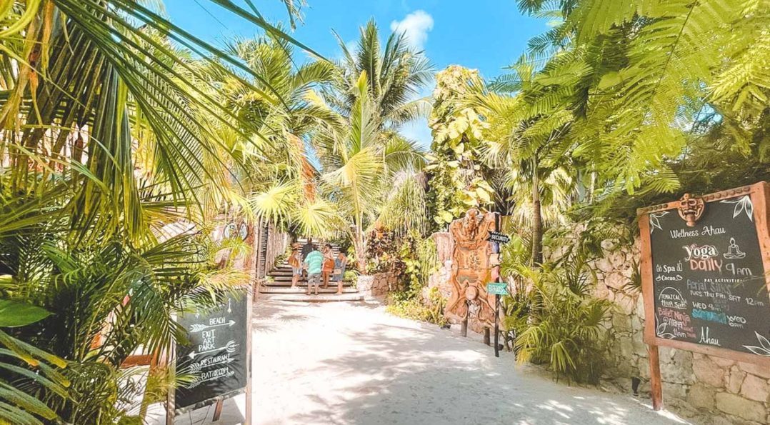 Daytime view of a quiet street in La Veleta, Tulum, with tropical trees, modern buildings, and a relaxed atmosphere.