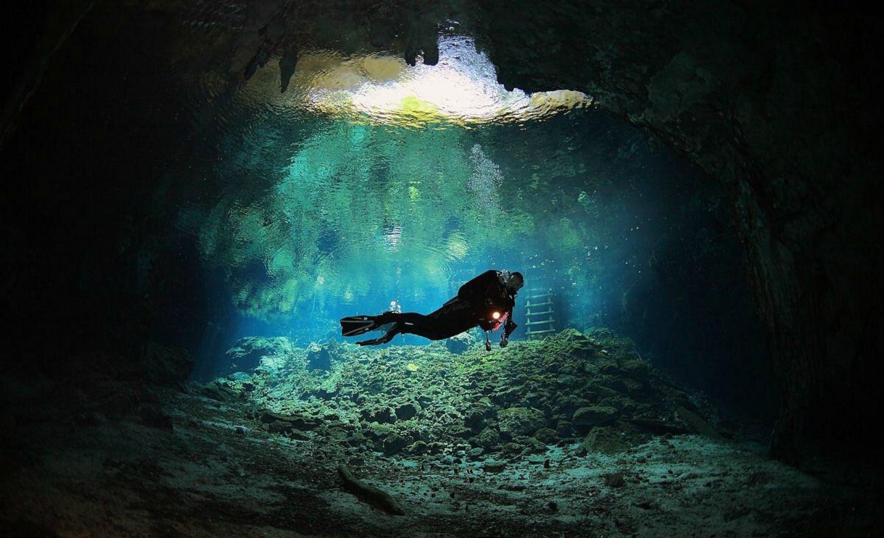 Buzo nadando en el Gran Cenote de Tulum